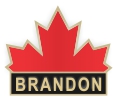 Brandon Lapel Pins